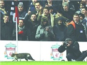 Bóng đá anh, ngoại hạng anh, lịch thi đấu euro 2012, Bóng đá đích thực nằm ở… ngoài đường piste